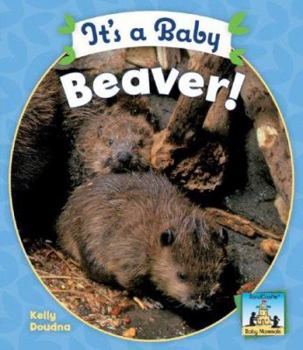 Library Binding It's a Baby Beaver Book