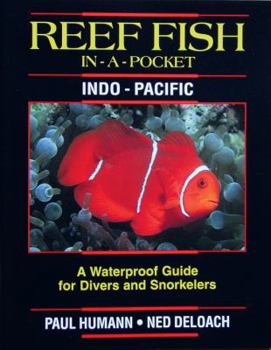 Pamphlet Reef Fish in a Pocket - Tropical Pacific Book