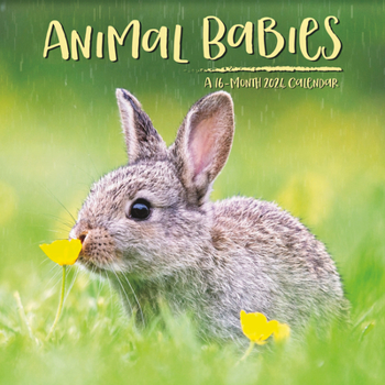 Calendar 24wall Animal Babies Book