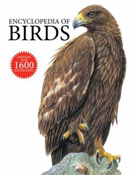 Hardcover Encyclopedia of Birds Book