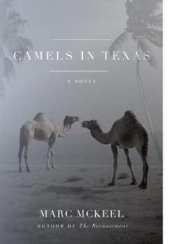 Hardcover Camels in Texas Book