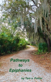 Paperback Pathways to Epiphanies Book