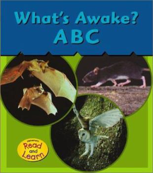 Paperback What's Awake? Book