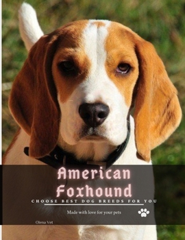 American Foxhound: Choose best dog breeds for you
