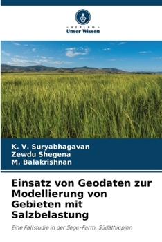 Einsatz von Geodaten zur Modellierung von Gebieten mit Salzbelastung (German Edition)