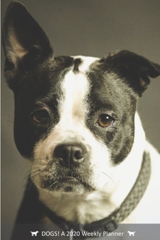 DOGS! A 2020 Weekly Planner: Cover Dog: May (Best Laid Plans)