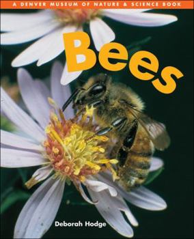 Hardcover Bees Book