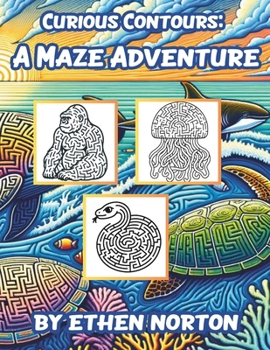 Paperback Curious Contours: A Maze Adventure Book