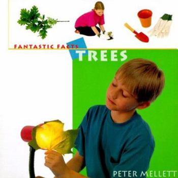 Trees - Book  of the Young Scientist Concepts and Projects
