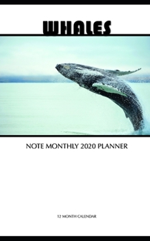 Paperback Whales Note Monthly 2020 Planner 12 Month Calendar Book