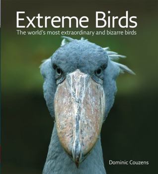 Paperback Extreme Birds: The World's Most Extraordinary and Bizarre Birds Book