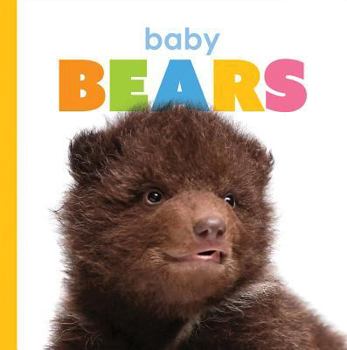 Library Binding Baby Bears Book