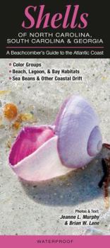 Pamphlet Shells of North Carolina, South Carolina & Georgia: A Beachcomber's Guide to the Atlantic Coast Book