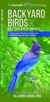 Paperback Backyard Birds of Western North America: A Folding Pocket Guide to Common Backyard Birds Book