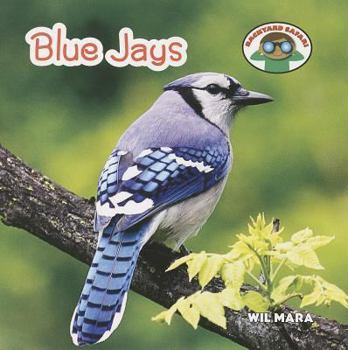 Paperback Blue Jays Book