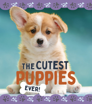 Library Binding The Cutest Puppies Book