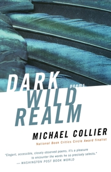 Paperback Dark Wild Realm Book