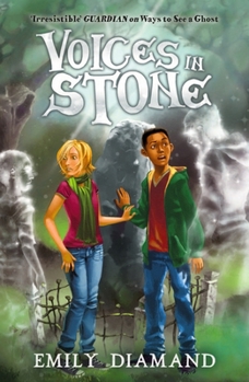 Paperback Voices in Stone Book