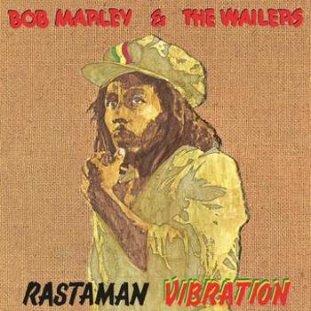 Vinyl Rastaman Vibration (LP) Book