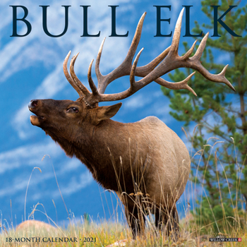 Calendar Bull Elk 2021 Wall Calendar Book