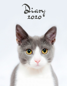 Paperback Diary 2020: Cat Lovers Week to View Organiser - Sunday Start Agenda: Pocket Paperback Notebook Style With Priorities & To Do List Book