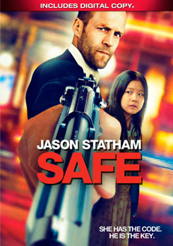 DVD Safe Book