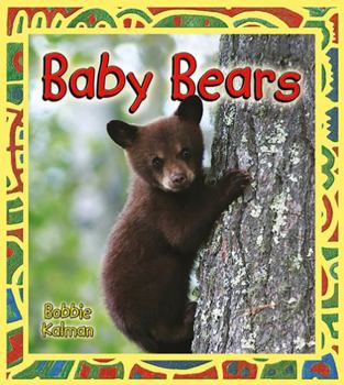 Hardcover Baby Bears Book