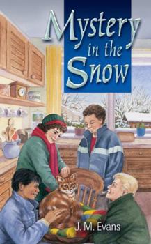 Paperback Mystery in the Snow Book