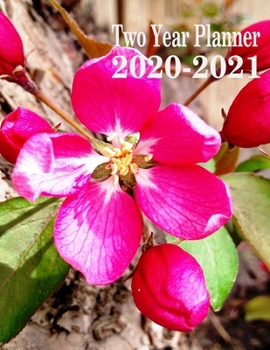 Paperback Two Year Planner 2020-2021: Apple Blossom 2020-2021 Monthly Planner 8.5 x 11 Book