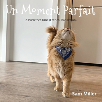 Paperback Un Moment Parfait [French] Book