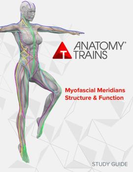 Paperback Anatomy Trains Myofascial Meridians Structure & Function Study Guide Book