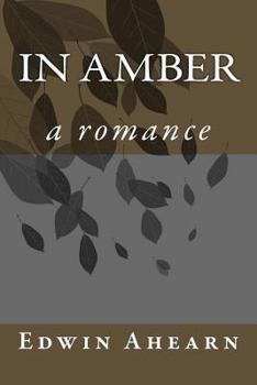 Paperback In Amber: a romance Book