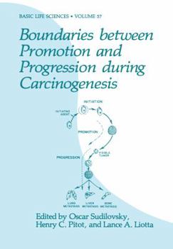 Paperback Boundaries Between Promotion and Progression During Carcinogenesis Book