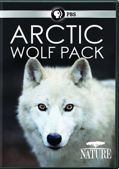 DVD Nature: Arctic Wolf Pack Book