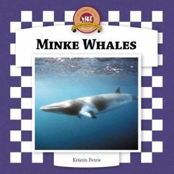 Library Binding Minke Whales Book