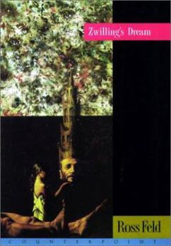 Hardcover Zwilling's Dream Book