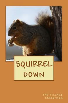 Paperback Squirrel Down Book