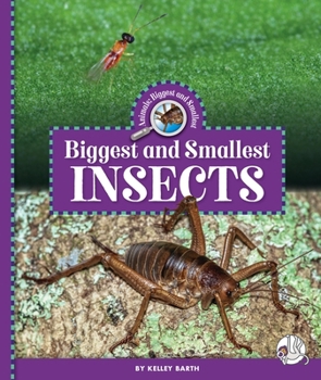 Library Binding Biggest and Smallest Insects Book