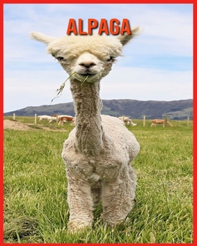 Alpaga: Informations Amusantes & Belles Images
