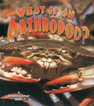 Paperback What Is an Arthropod? Book