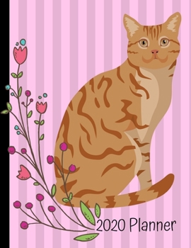Paperback 2020 Planner: Orange Tabby Cat Pink 2020 Weekly Planner Organizer Dated Calendar And ToDo List Tracker Notebook Book
