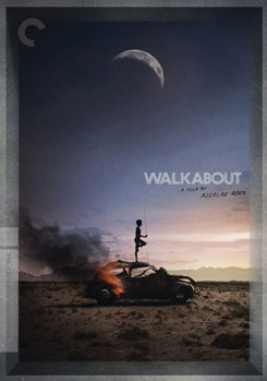 DVD Walkabout Book