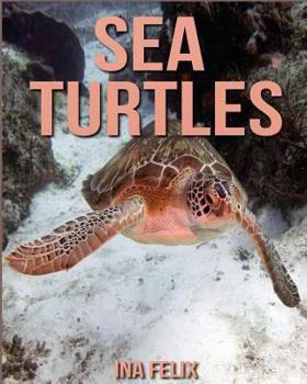 Paperback Sea Turtles: Children Book of Fun Facts & Amazing Photos on Animals in Nature - A Wonderful Sea Turtles Book for Kids aged 3-7 Book