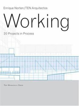Paperback Working: 20 Projects in Process Book