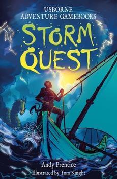 Paperback Storm Quest Book
