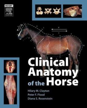 Hardcover Clinical Anatomy of the Horse Book