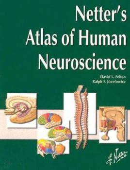 Paperback Netter's Atlas of Human Neuroscience Book