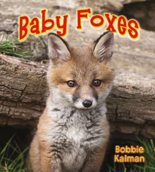 Paperback Baby Foxes Book