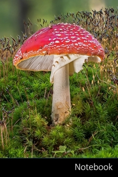Notebook: Amanite Tue-Mouche, Champignon, Toxique, Muscaria Carnet / Journal / Livre d'écriture / Calepin / Agenda / Notes - 6 x 9 pouces (15,24 x 22,86 cm), 150 pages, surface brillante.
