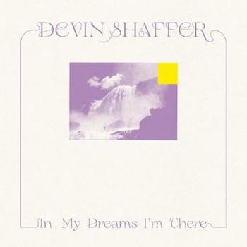 Vinyl In My Dreams I'm There Book